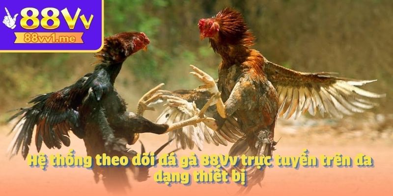 Hệ thống theo dõi đá gà 88Vv trực tuyến trên đa dạng thiết bị