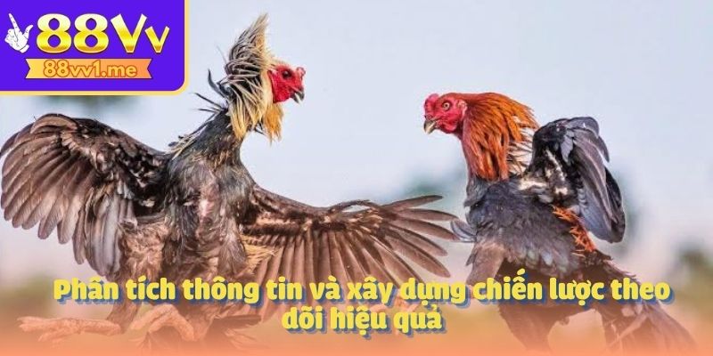 Phân tích thông tin và xây dựng chiến lược theo dõi hiệu quả