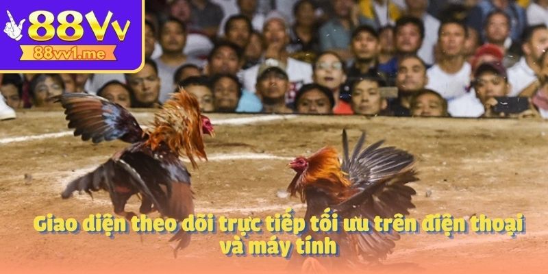 Giao diện theo dõi trực tiếp tối ưu trên điện thoại và máy tính