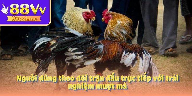 Người dùng theo dõi trận đấu trực tiếp với trải nghiệm mượt mà