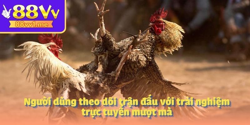 Người dùng theo dõi trận đấu với trải nghiệm trực tuyến mượt mà