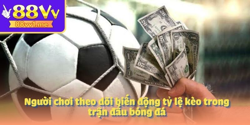 Người chơi theo dõi biến động tỷ lệ kèo trong trận đấu bóng đá